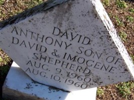 David Anthony Shepherd David Anthony Shepherd