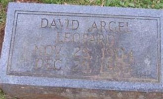 David Argel Leopard David Argel Leopard