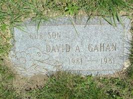 David Arthur Gahan