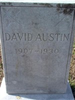 David Austin Watson