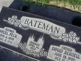 David B Bateman