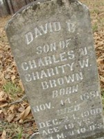 David B. Brown