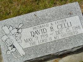 David B. Celli