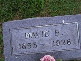 David B Fox David B Fox