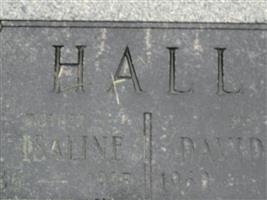 David B Hall
