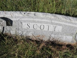 David B Scott