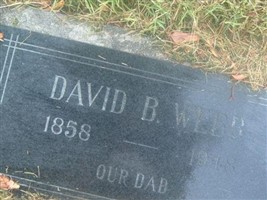 David B. Webb David B. Webb