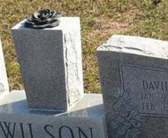 David B. Wilson David B. Wilson