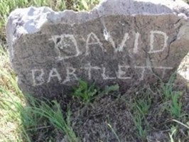 David Bartlett David Bartlett