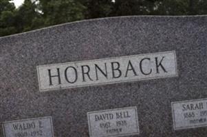 David Bell Hornback