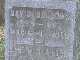 David Bellows