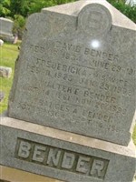 David Bender David Bender