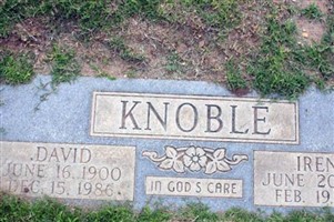 David Benjamin Knoble