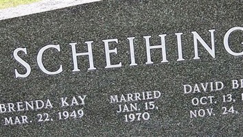 David Beryl Scheihing