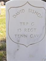 David Bishop