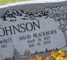 David Blackburn Johnson
