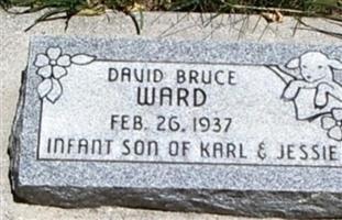 David Bruce Ward