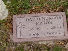 David Burgos Matos David Burgos Matos