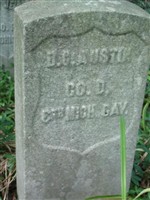 David C Austin David C Austin