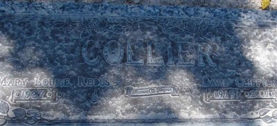 David C Collier David C Collier