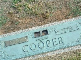 David C Cooper