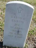 David C Curtis