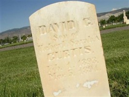 David C. Curtis David C. Curtis