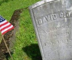 David C Day David C Day