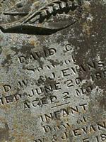 David C Evans