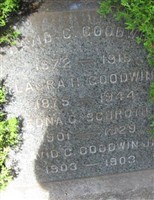 David C. Goodwin David C. Goodwin