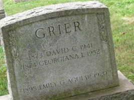 David C Grier