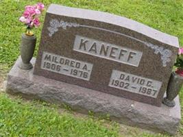 David C. Kaneff