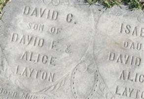 David C Layton