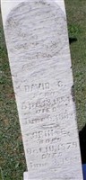 David C Lyons (2112066.jpg) David C Lyons (2112066.jpg)