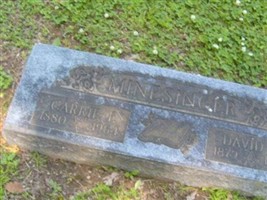David C. Minesinger
