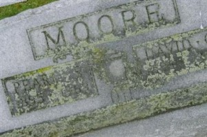 David C Moore David C Moore