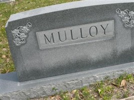 David C. Mulloy David C. Mulloy