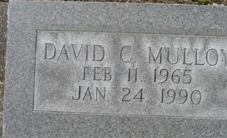 David C. Mulloy David C. Mulloy