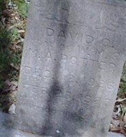 David C Potter