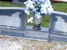David C. Roberts