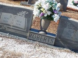 David C. Roberts