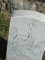 David C Scott David C Scott