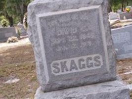 David C. Skaggs David C. Skaggs