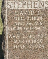 David C Stephens David C Stephens