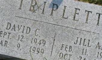 David C. Triplett David C. Triplett