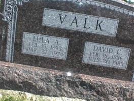 David C Valk
