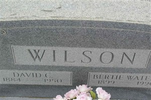 David C Wilson