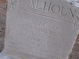 David Calhoun David Calhoun