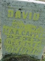 David Capper (1866200.jpg) David Capper (1866200.jpg)