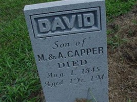 David Capper (1866199.jpg) David Capper (1866199.jpg)